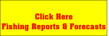 Click Here 
Fishing Reports & Forecasts
